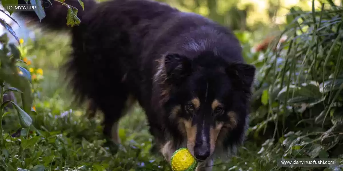 全球赛事,同步开启!🌍🎥 体育直播,打破时空界限!